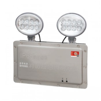广东敏华电器有限公司_自电集控IP65防水型双头灯M-ZFZC-E2W6511